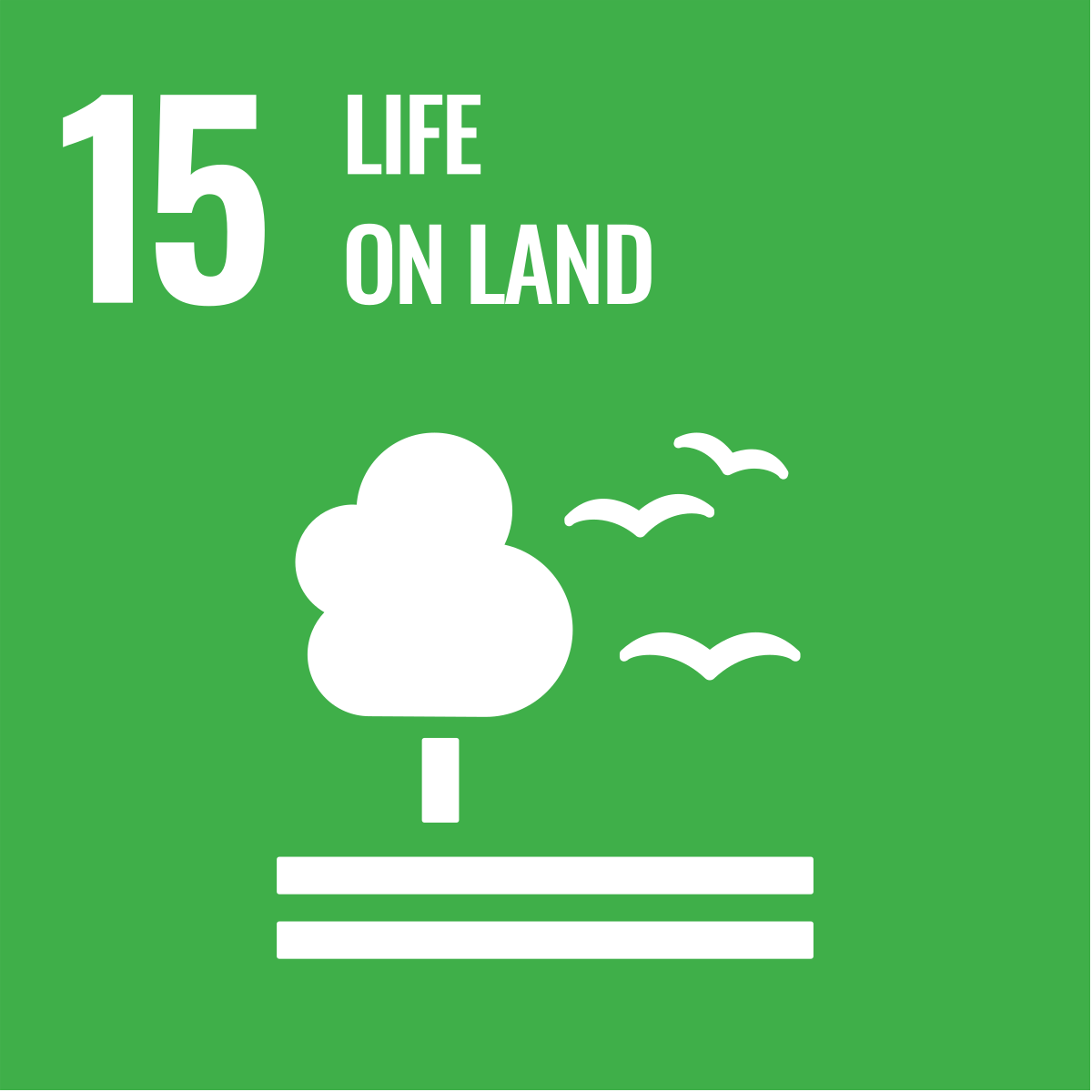 SDG 15 Logo